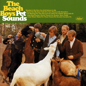 Wouldn't It Be Nice The Beach Boys | Album Cover