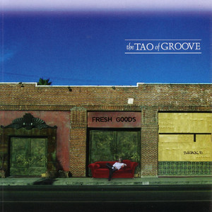 Brand New Delhi The Tao of Groove | Album Cover