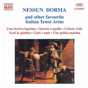 Nessun Dorma (from Puccini's 'Turandot') - Johannes Wildner & Janez Lotric | Song Album Cover Artwork