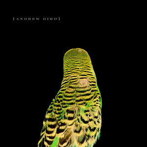 Fiery Crash - Andrew Bird | Song Album Cover Artwork