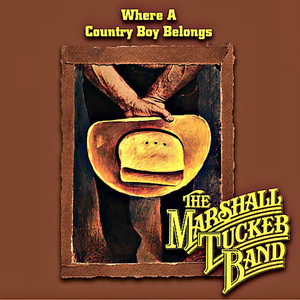 Heard It in a Love Song - The Marshall Tucker Band | Song Album Cover Artwork