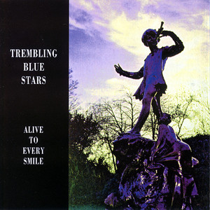 Ammunition - Trembling Blue Stars | Song Album Cover Artwork