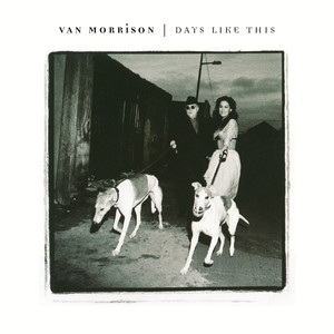 Days Like This Van Morrison | Album Cover