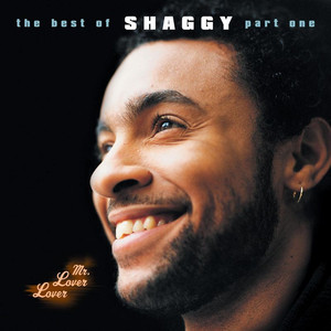 Luv Me Luv Me - Shaggy | Song Album Cover Artwork