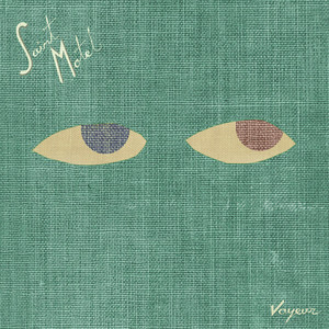 Puzzle Pieces - Saint Motel | Song Album Cover Artwork