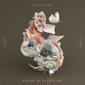 Killing Me To Love You  - Album Artwork