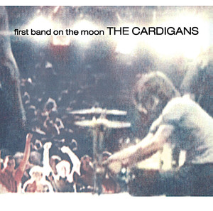 Lovefool - The Cardigans | Song Album Cover Artwork