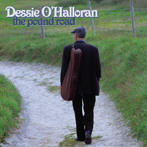 Patsy Fagan - Dessie O'Halloran | Song Album Cover Artwork