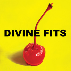 Would That Not Be Nice - Divine Fits | Song Album Cover Artwork