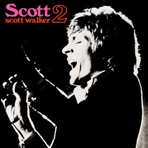 Next - Scott Walker | Song Album Cover Artwork