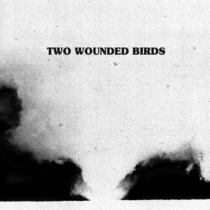 Night Patrol - Two Wounded Birds | Song Album Cover Artwork