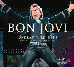 Blaze of Glory - Bon Jovi | Song Album Cover Artwork