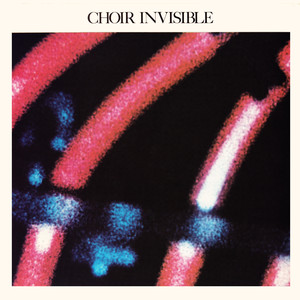Private Life - Choir Invisible