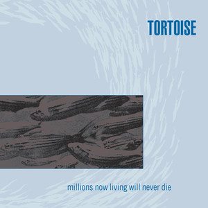 Djed - Tortoise | Song Album Cover Artwork