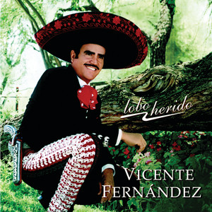 Borracho Te Recuerdo - Vicente Fernández | Song Album Cover Artwork