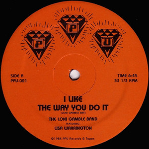 I Like the Way You Do It (feat. Lisa Warrington) - The Loni Gamble Band | Song Album Cover Artwork
