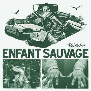 Time to Fall Enfant Sauvage | Album Cover