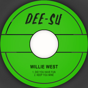 Did You Have Fun - Willie West | Song Album Cover Artwork