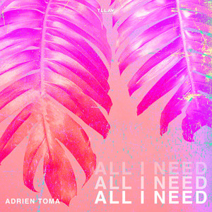 All I Need Adrien Toma | Album Cover