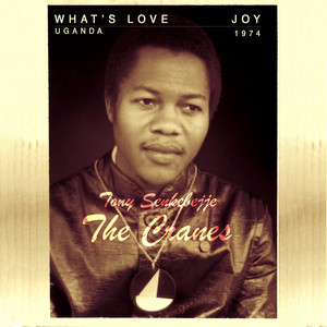 Joy - The Cranes