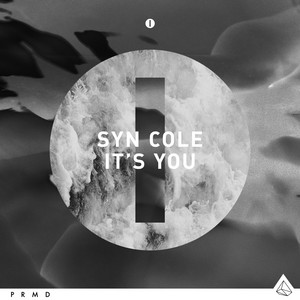 It's You - Radio Edit - Syn Cole | Song Album Cover Artwork