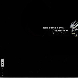 not going down - EZI | Song Album Cover Artwork