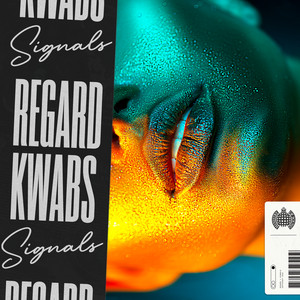 Signals - Regard | Song Album Cover Artwork