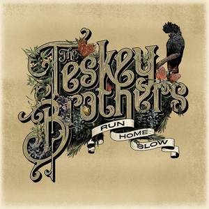 Hold Me - The Teskey Brothers