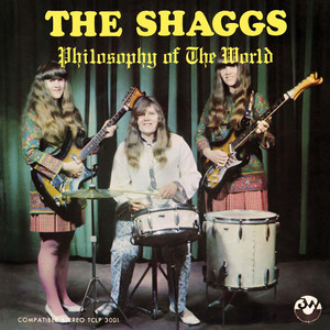 My Pal Foot Foot - The Shaggs | Song Album Cover Artwork