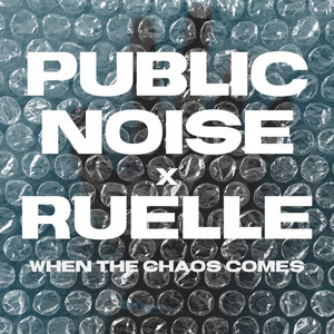 When the Chaos Comes - PUBLIC NOISE | Song Album Cover Artwork