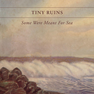 You've Got the Kind of Nerve I Like - Tiny Ruins | Song Album Cover Artwork