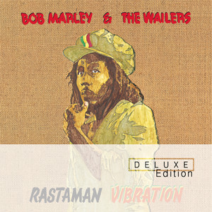 Positive Vibration - Bob Marley & The Wailers | Song Album Cover Artwork