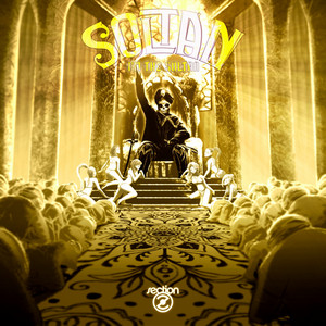 Acid Punjabi - Original Mix - Soltan | Song Album Cover Artwork