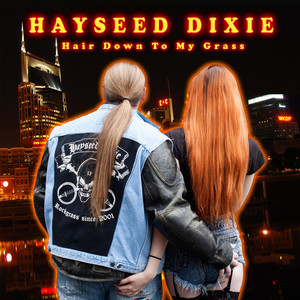 Dude Looks Like a Lady - Hayseed Dixie | Song Album Cover Artwork