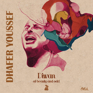 Fly Shadow Fly - Dhafer Youssef | Song Album Cover Artwork