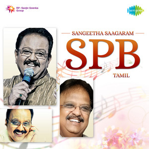 Sorgam Madhuvile (From "Sattam En Kaiyil") - S. P. Balasubrahmanyam | Song Album Cover Artwork