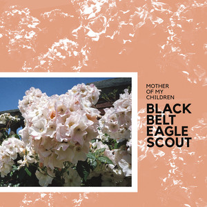 Soft Stud - Black Belt Eagle Scout | Song Album Cover Artwork