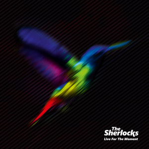 Chasing Shadows - The Sherlocks | Song Album Cover Artwork