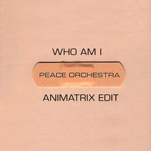 Who Am I (Animatrix Edit) - Peace Orchestra