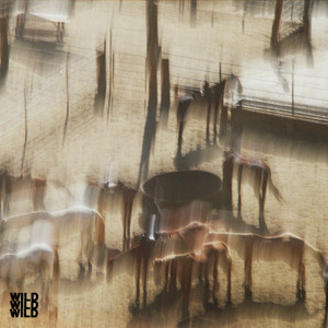 Wild - Dijon | Song Album Cover Artwork
