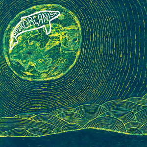 Night Time - Superorganism | Song Album Cover Artwork