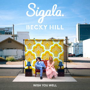 Wish You Well - Sigala | Song Album Cover Artwork