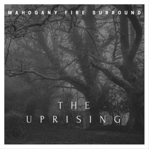 Waiting On The Shore - Mahogany Fire Surround | Song Album Cover Artwork