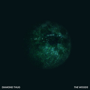 The Woods - Diamond Thug