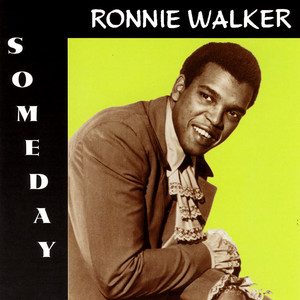 Love Is an Illusion Ronnie Walker | Album Cover