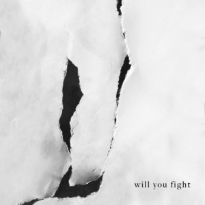 Will You Fight - Album Artwork