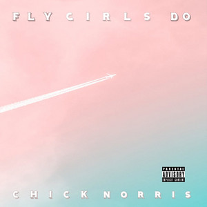 Stick Up Chick Norris | Album Cover