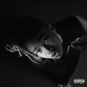Offence Little Simz | Album Cover