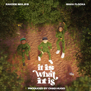 IT IS WHAT IT IS - Rakeem Miles | Song Album Cover Artwork