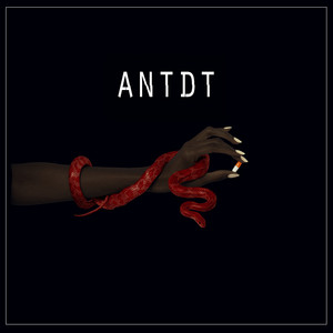 Echoes - Radio Edit - ANTDT | Song Album Cover Artwork